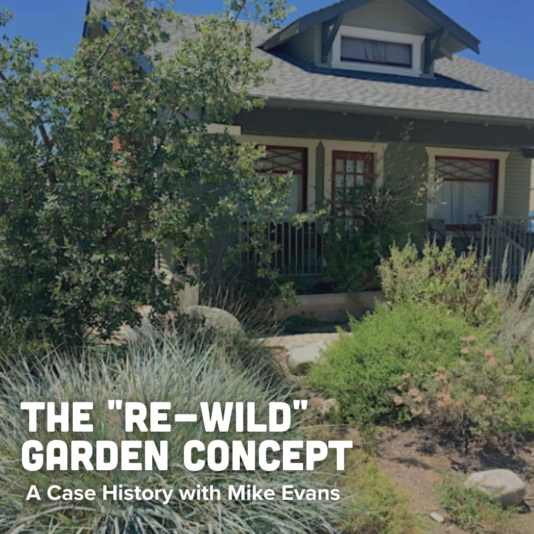 The 'Re-wild' Garden Concept: A Case History with Mike Evans - Vimarsana News