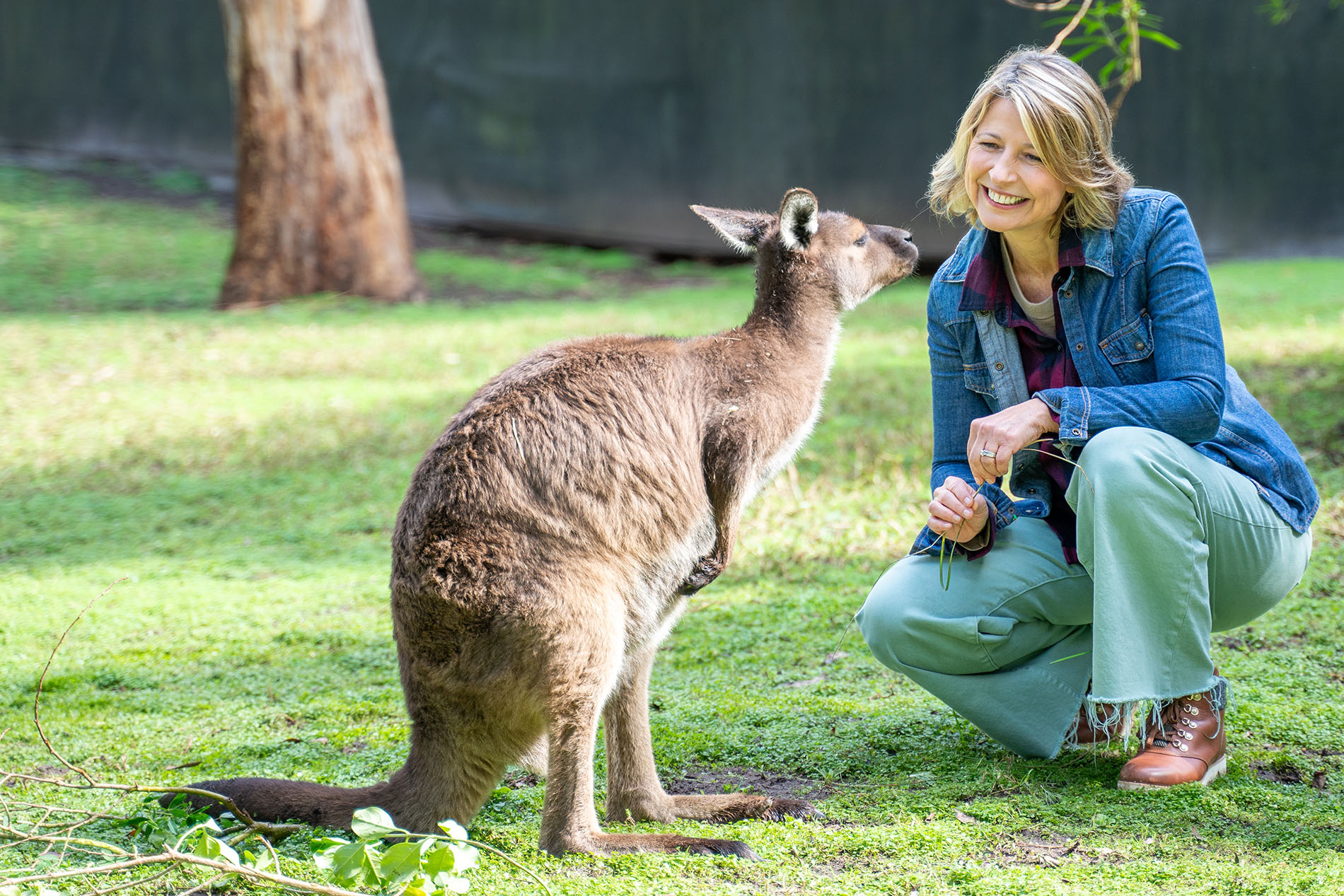 SAMANTHA BROWN'S PLACES TO LOVE: Darwin, Australia - Vimarsana News