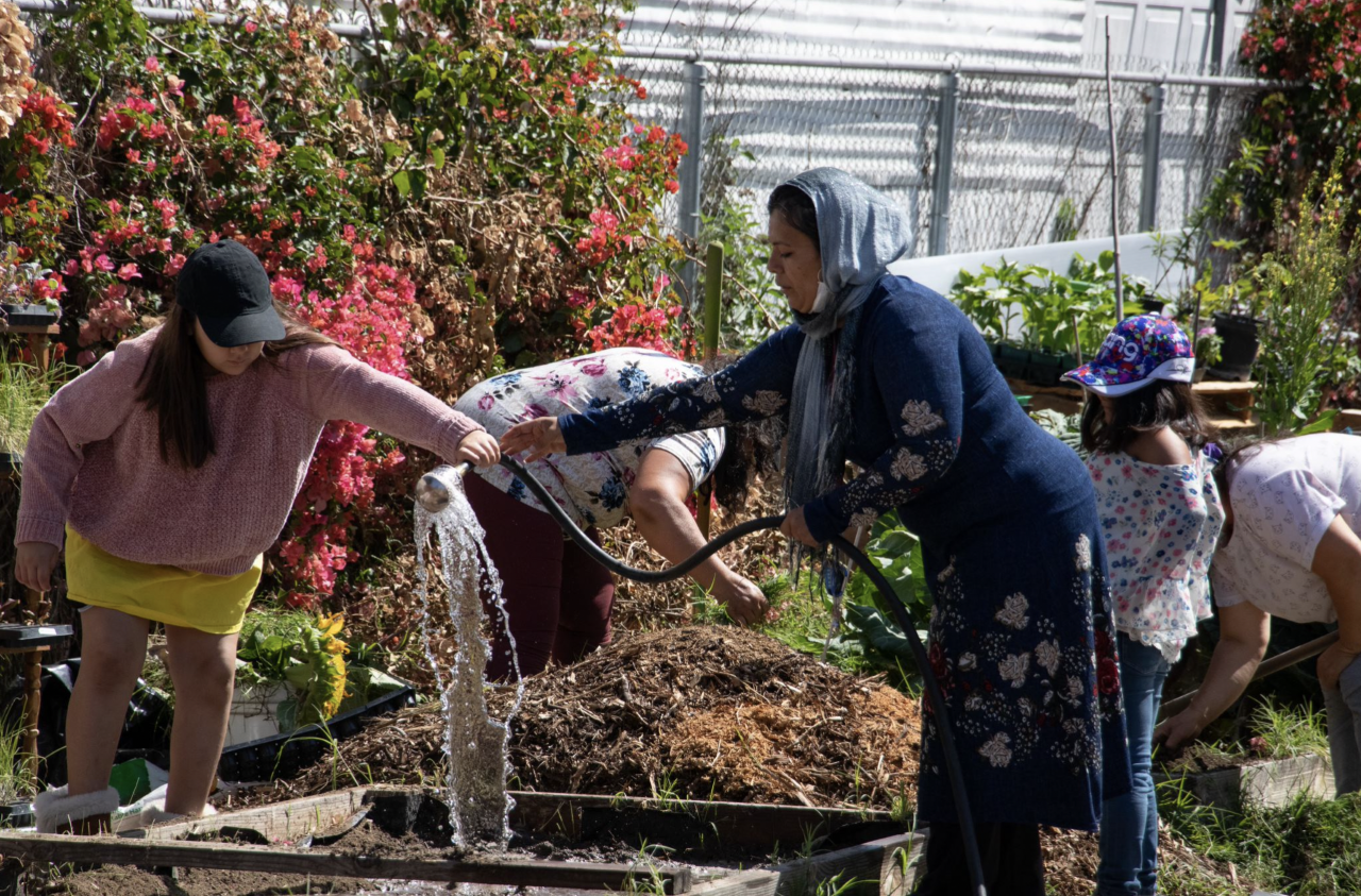 10 Days In Watts - Vimarsana News
