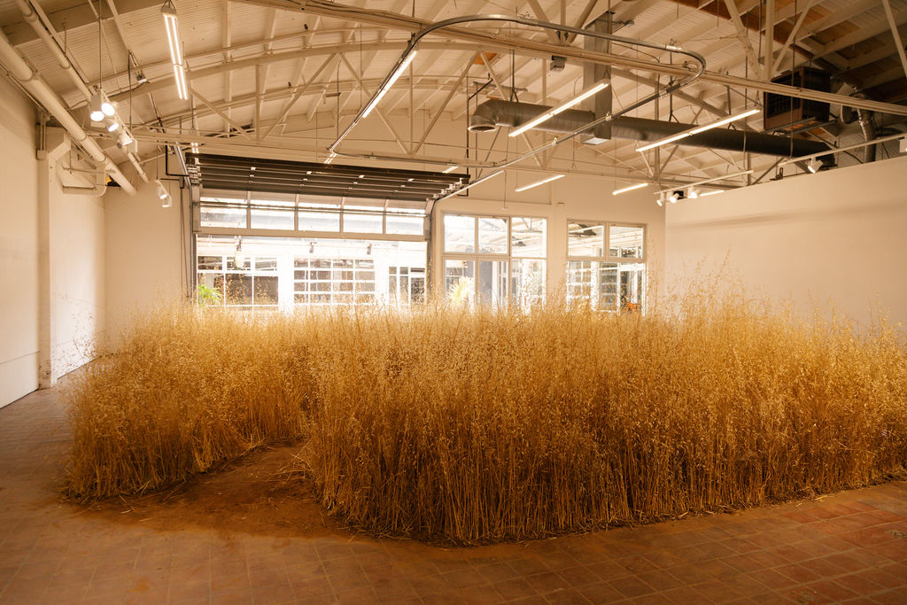 The 34th Annual Juried Exhibition