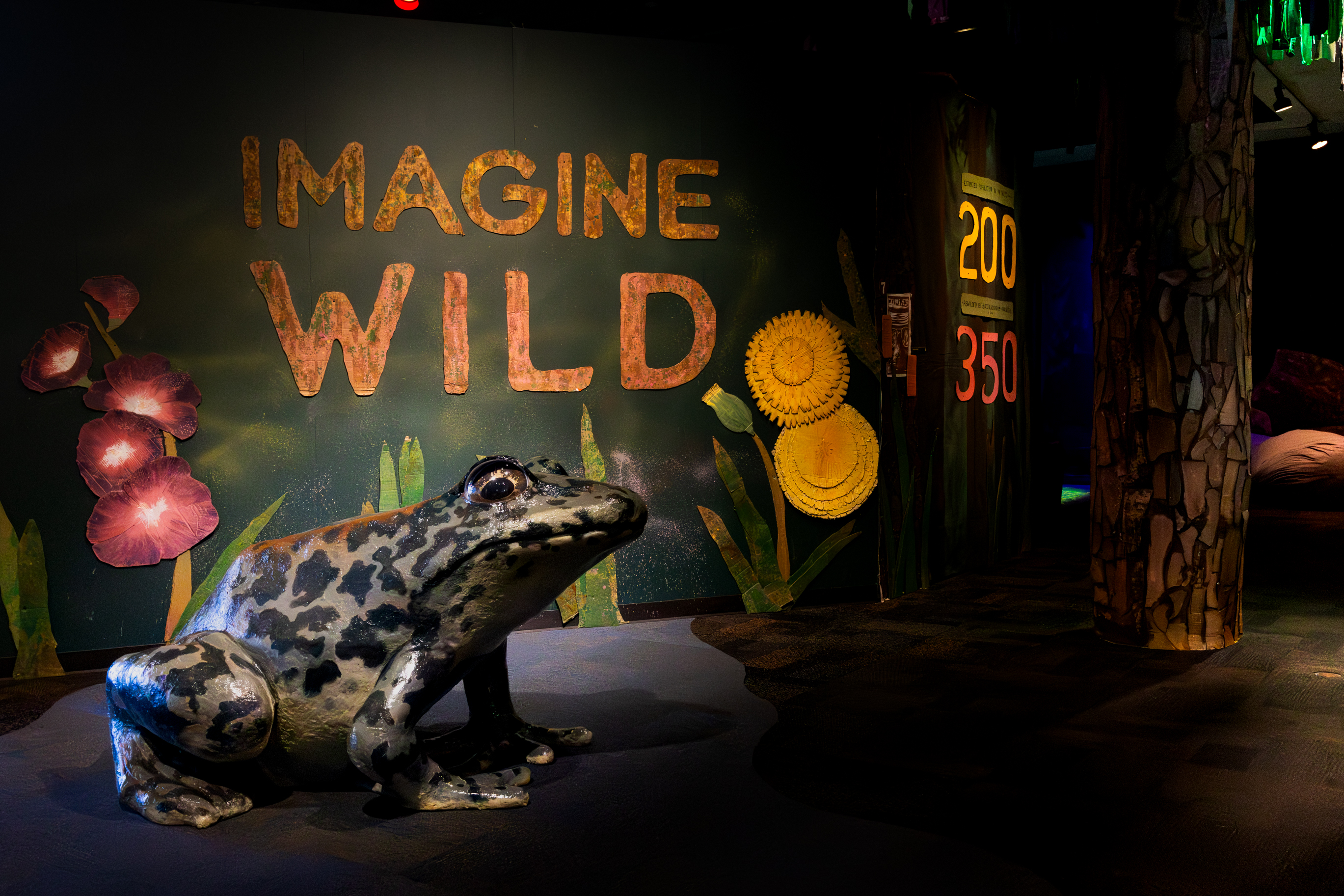 Imagine Wild