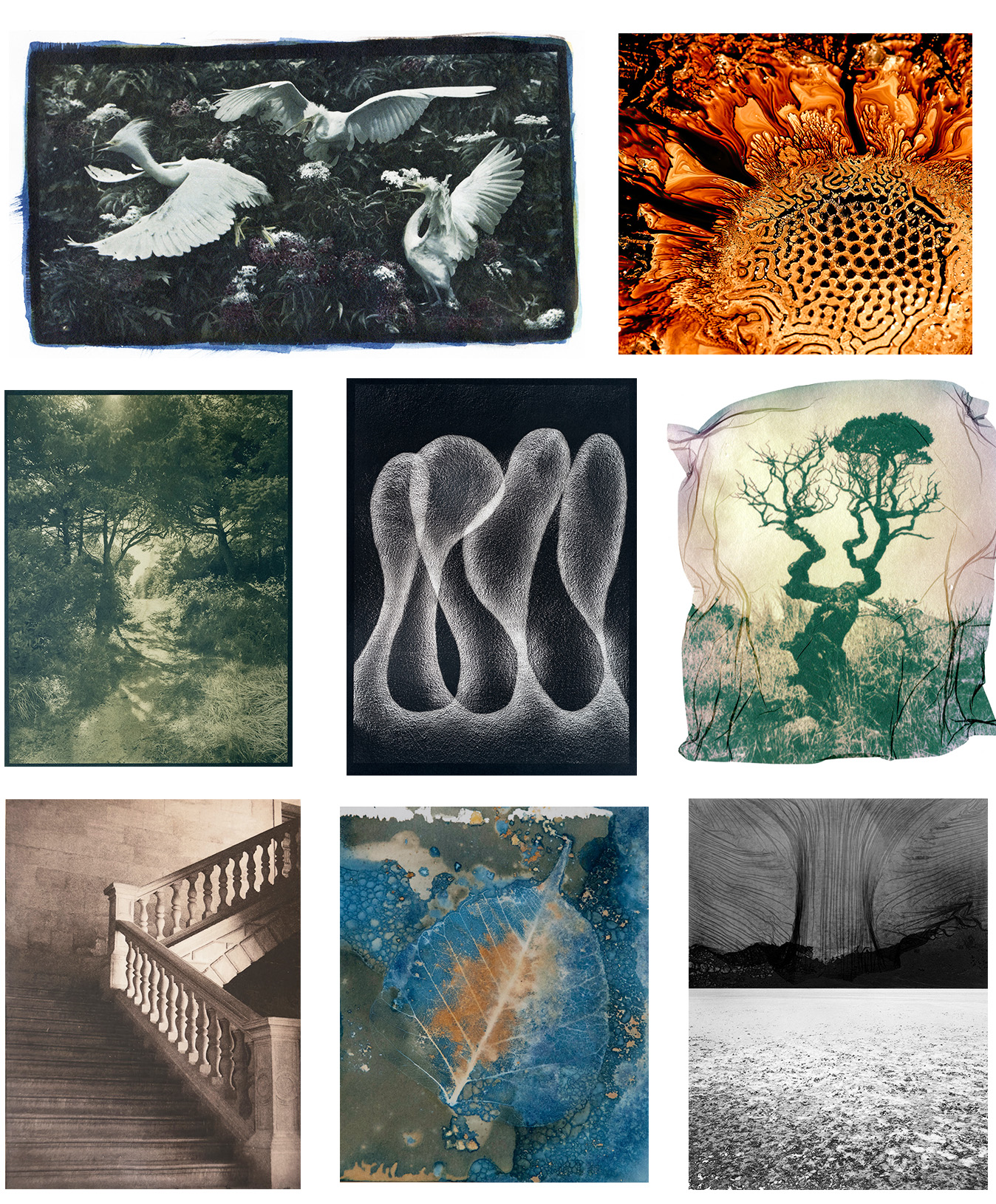 (S)Light of Hand Exhibition