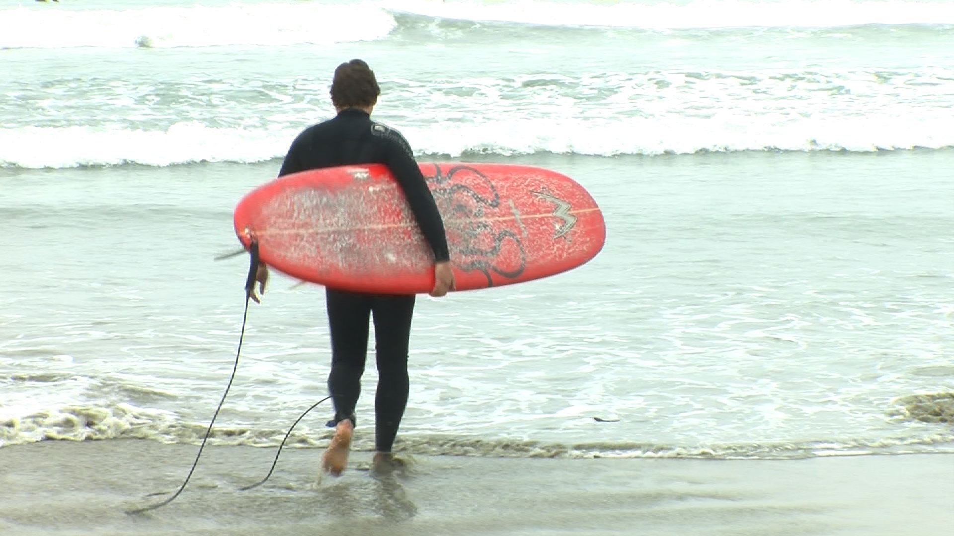 Diving into San Diego's surfing culture - Vimarsana News