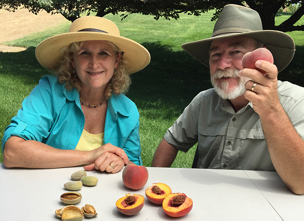 A GROWING PASSION: From Fruits To Nuts - Vimarsana News